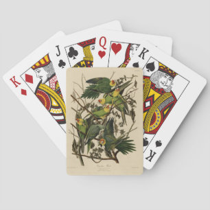 Baraja De Cartas Carolina Parrot de Aves de América de Audubon