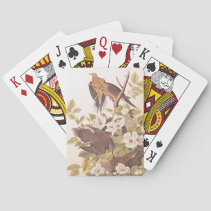 Baraja De Cartas Carolina Pigeon o Dove de duelo