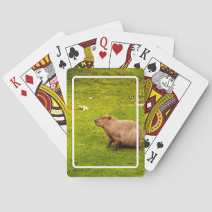Baraja De Cartas Carpincho