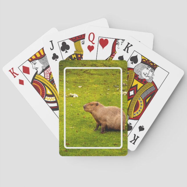 Baraja De Cartas Carpincho (Reverso)