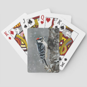 Baraja De Cartas Carpintero lechoso en nieve - Fotografía original