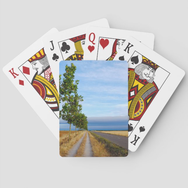 Baraja De Cartas Carretera Hacia Reliegos (Reverso)