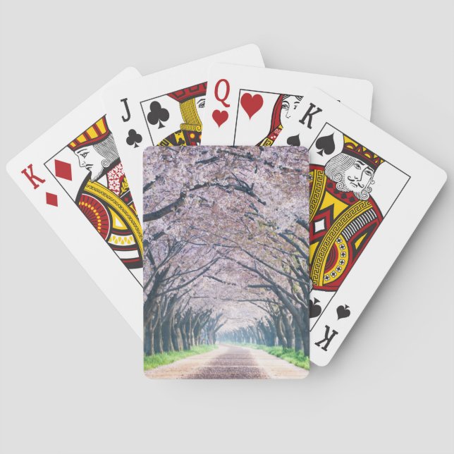 Baraja De Cartas Carril de la flor de cerezo (Reverso)