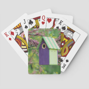 Baraja De Cartas Casa de Pájaro en un Árbol Redbud