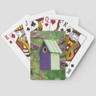 Baraja De Cartas Casa de Pájaros en un Árbol Redbud