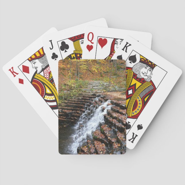 Baraja De Cartas Cascada en el Parque Estatal Laurel Hill (Reverso)