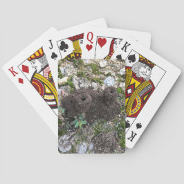 Baraja De Cartas Castillo de Ant