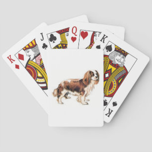 Baraja De Cartas Cavalier King Charles Spaniel