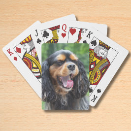 Baraja De Cartas Cavalier King Charles Spaniel bostezando