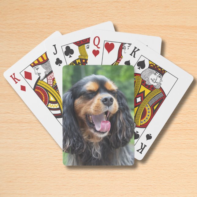 Baraja De Cartas Cavalier King Charles Spaniel bostezando (Subido por el creador)