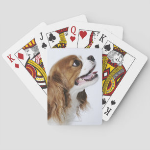 Baraja De Cartas Cavalier King Charles Spaniel, vista lateral
