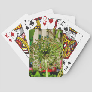 Baraja De Cartas Cebolla Ornamental