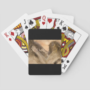 Baraja De Cartas Cebollos