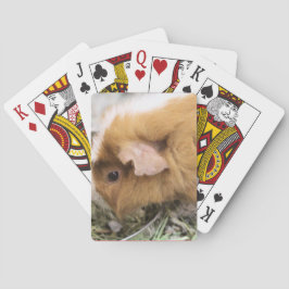 Baraja De Cartas Cerdo