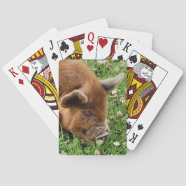 BARAJA DE CARTAS CERDO CUTIDO