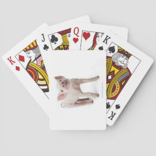 Baraja De Cartas Cerdo de pie mirando hacia arriba