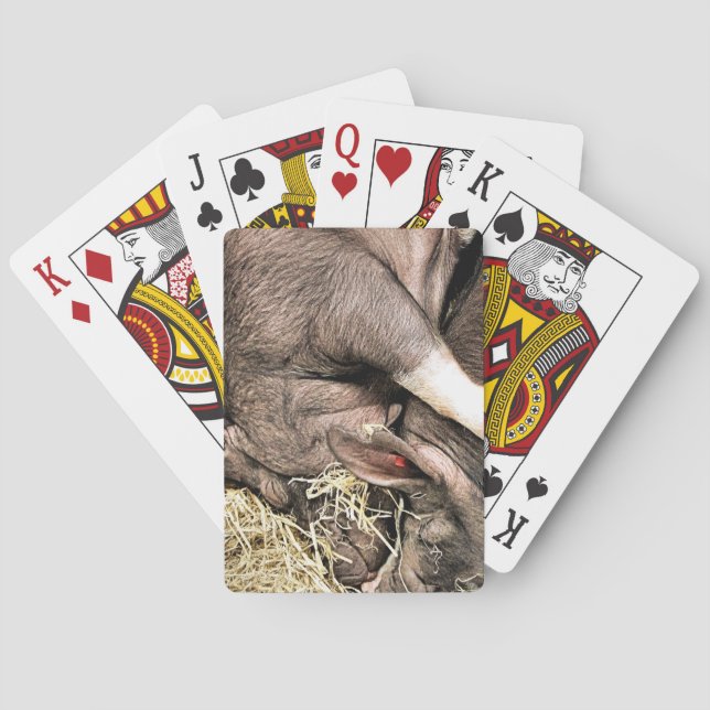 BARAJA DE CARTAS CERDOS DURMIENDO ADORABLES (Reverso)