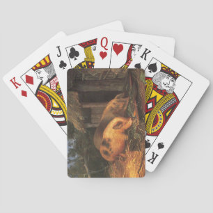Baraja De Cartas Cerdos en un valle (animales de corral)