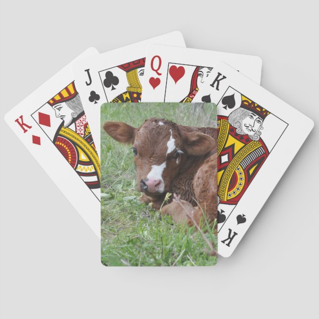 Baraja De Cartas Cernícalo rojo y blanco (Reverso)
