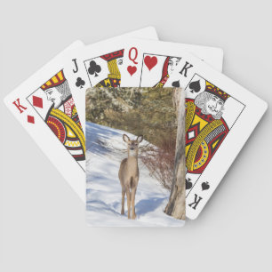 Baraja De Cartas Cerveza blanca mirándote