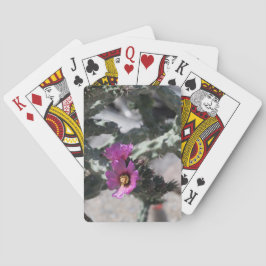 Baraja De Cartas Challa Cactus en floración