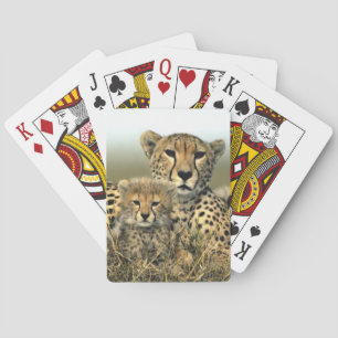 Baraja De Cartas Cheetah Mom y Cub