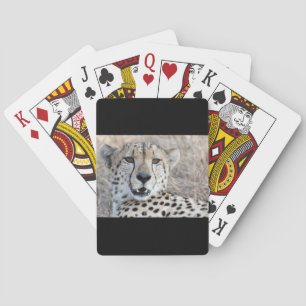 Baraja De Cartas Cheetah Portrait