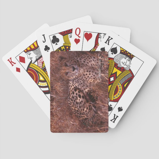 Baraja De Cartas Cheetah Stare (Reverso)
