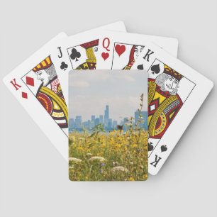Baraja De Cartas Chicago según lo visto del pájaro del puerto de