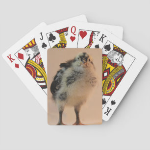 Baraja De Cartas Chick feo