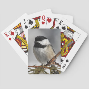 Baraja De Cartas Chickadee_9478