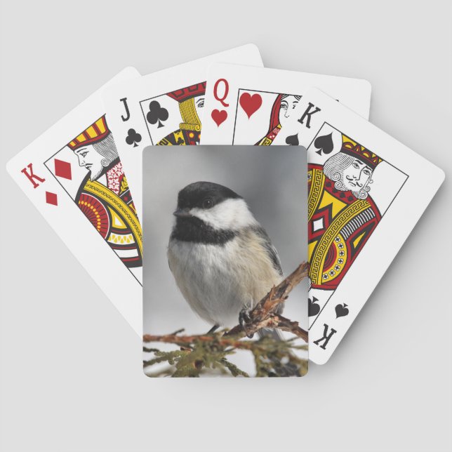 Baraja De Cartas Chickadee_9478 (Reverso)