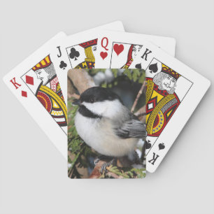 Baraja De Cartas Chickadee_9530