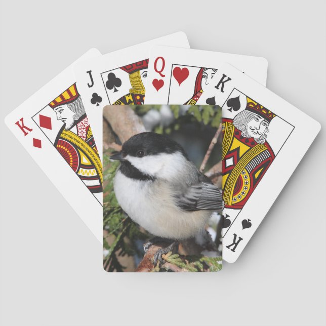 Baraja De Cartas Chickadee_9530 (Reverso)