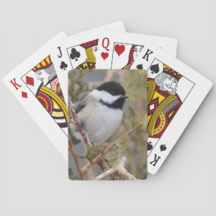 Baraja De Cartas Chickadee_9654