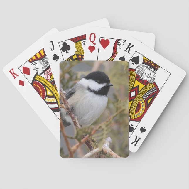 Baraja De Cartas Chickadee_9654 (Reverso)