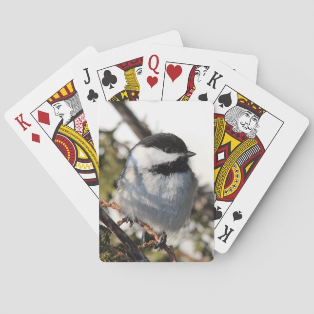 Baraja De Cartas Chickadee 9693 (Reverso)