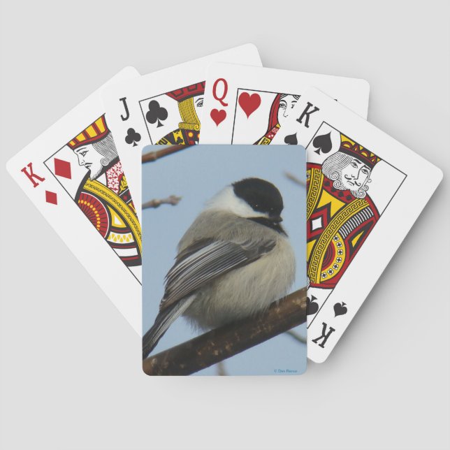 Baraja De Cartas Chickadee Negro-capsulado B21 (Reverso)