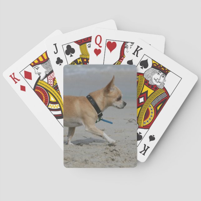 Baraja De Cartas Chihuahua en la playa (Reverso)