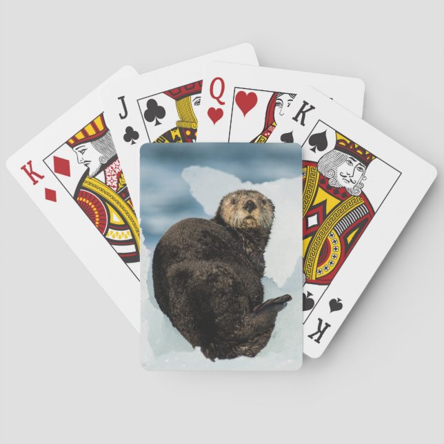 Baraja De Cartas Chilly Sea Otter (Reverso)