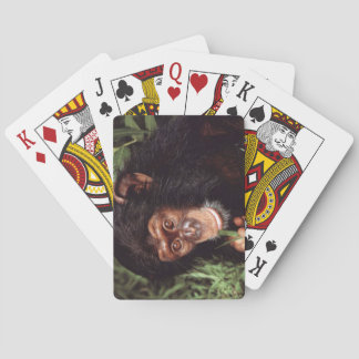 Baraja De Cartas Chimpancé