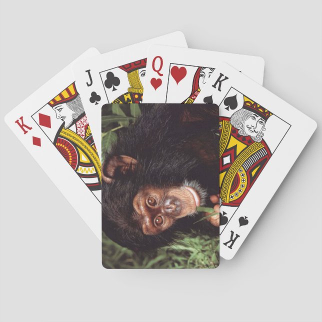 Baraja De Cartas Chimpancé (Reverso)