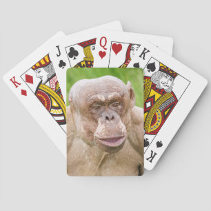 Baraja De Cartas Chimpanzee sin pelo