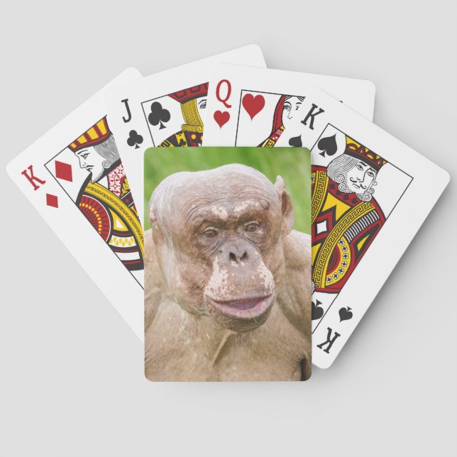 Baraja De Cartas Chimpanzee sin pelo (Reverso)