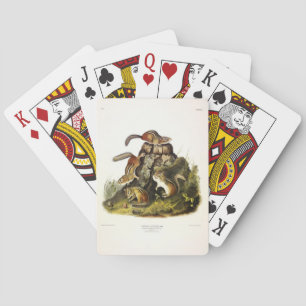 Baraja De Cartas Chip Squirrel ( Eastern Chipmunk ) por Audubon