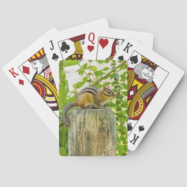 Baraja De Cartas Chipmunk en un post sobre la cerca (Reverso)