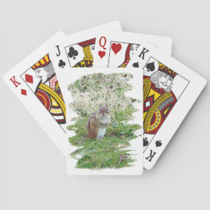 Baraja De Cartas Chipmunk oriental
