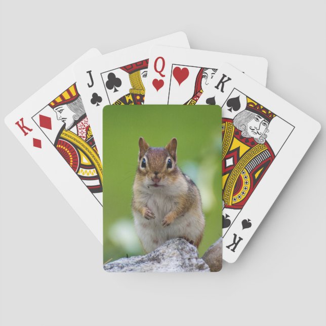 Baraja De Cartas Chipmunk que se sienta en una roca (Reverso)
