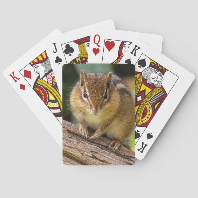 Baraja De Cartas Chipmunk Stare (Reverso)