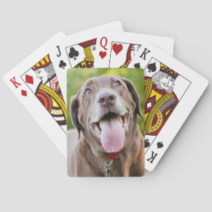 Baraja De Cartas Chocolate Labrador Dog